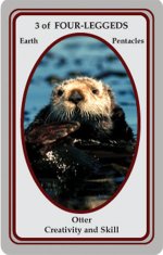 animal wise otter.jpg