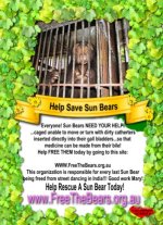 Sun.Bears.Help.Free.Them.AT.jpg