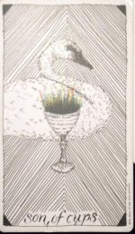 Son of Cups.jpg