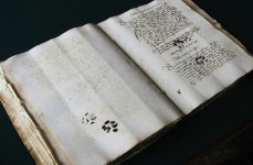 medieval cat prints.jpg