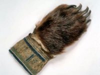 Siberian Bear Claw Glove.jpg