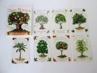 Tree magick cards.jpg